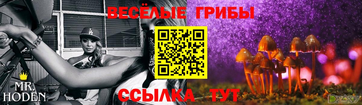 Клин  как найти закладки  Вход с VPN  Галлюциногенные грибы Cubensis 